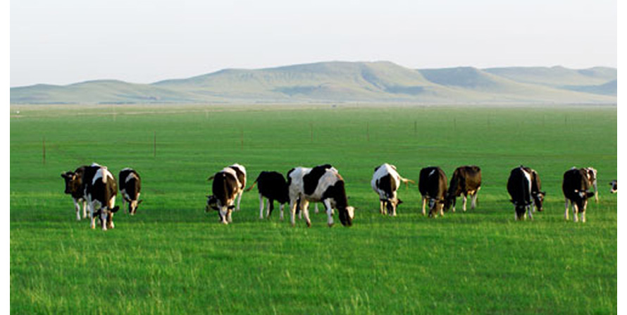 伊利工廠員工制服設(shè)計(jì)方案