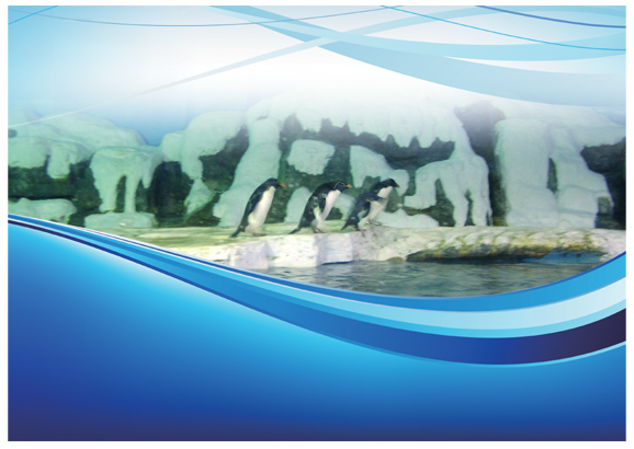 大連老虎灘極地館，員工服裝設(shè)計方案