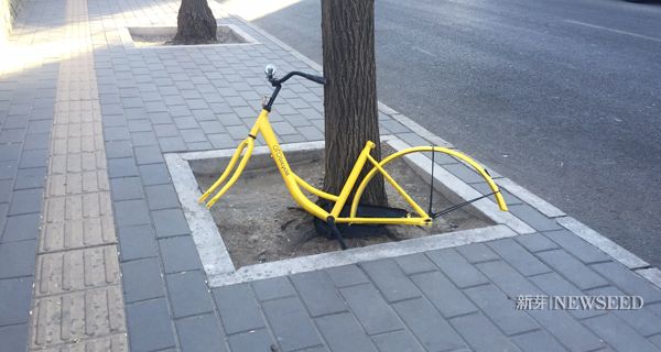 一天公布 30 多億融資，資本吹起了共享單車風口，又要砸錢讓它倒下