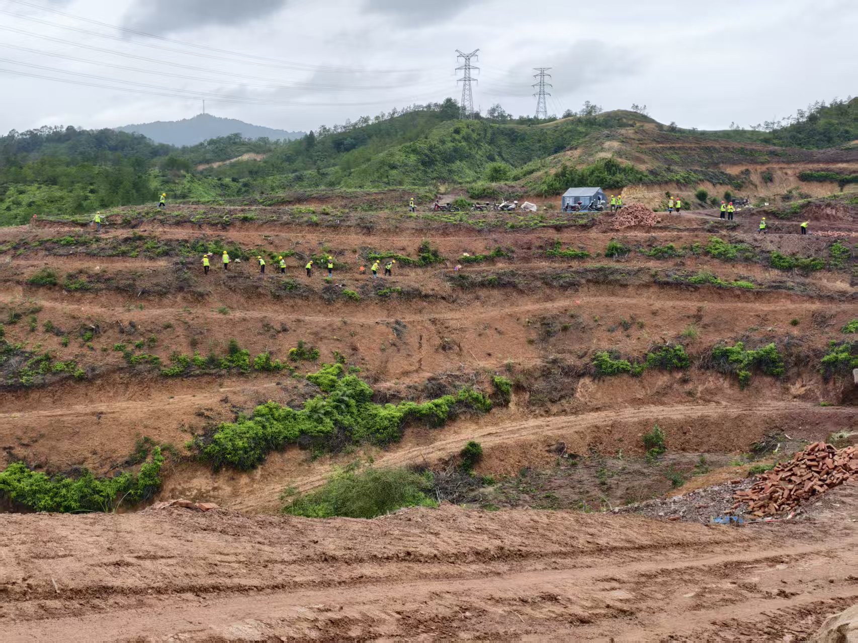 友聯哨兵于原始重點林區的山巔處駐守，守住林海，遏制盜伐行為